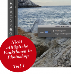 Aus FAP 3/21 /Beispielbilder /Gratis 